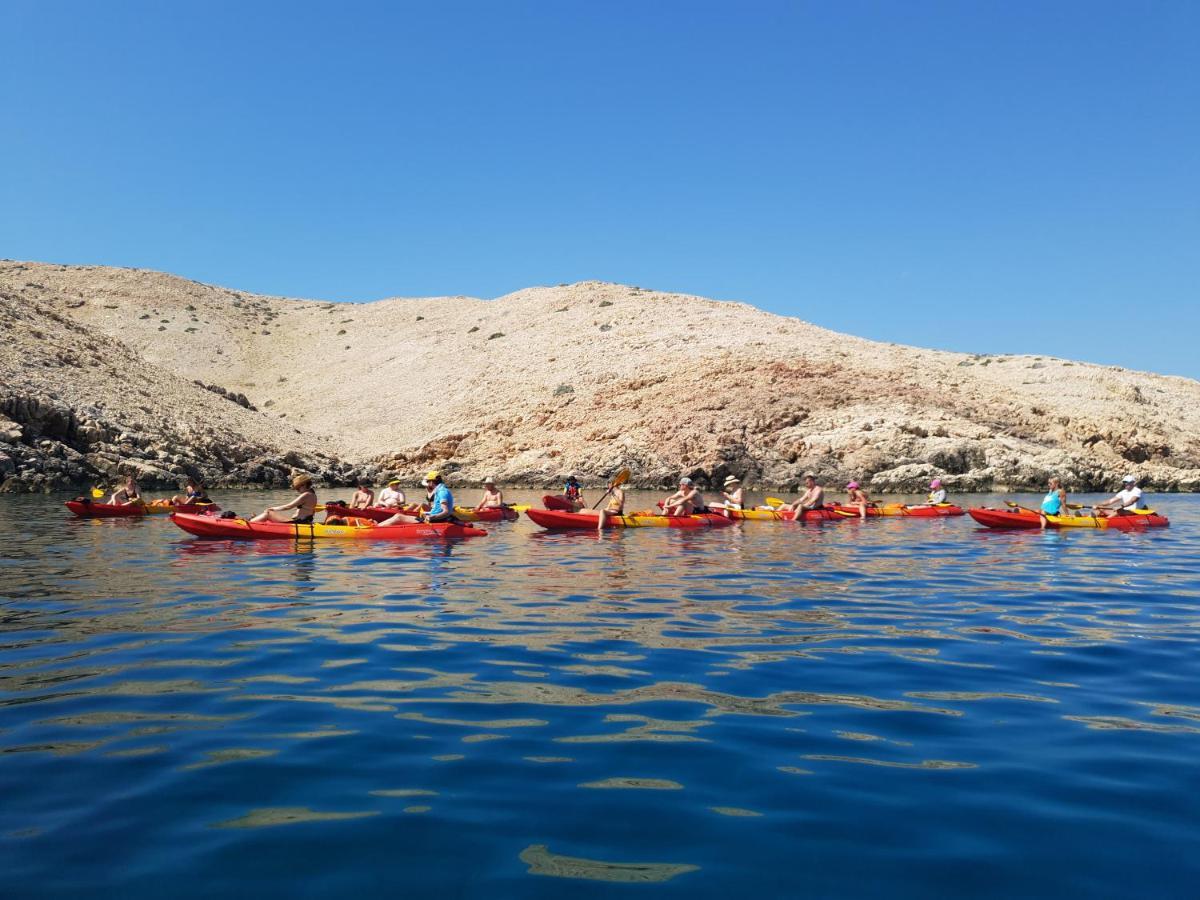 Apartments Cvetka نوفاليا المظهر الخارجي الصورة